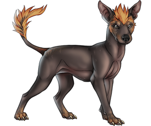 Peruvian Hairless Dog