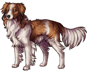 Kooikerhondje