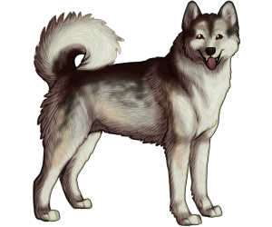 Alaskan Malamute