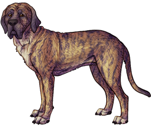 Fila Brasileiro